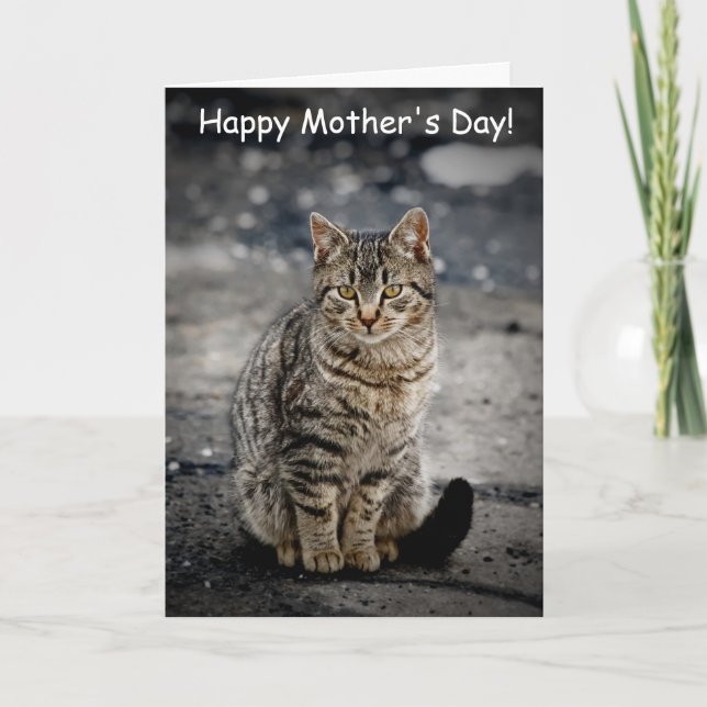 Porträtt i en katt kort (Framsida)