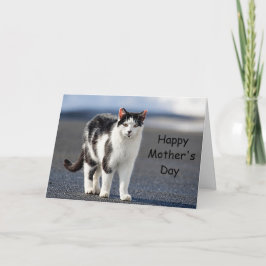 Porträtt i en katt kort