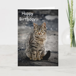 Porträtt i en katt kort