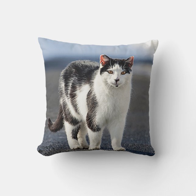 Porträtt i en katt kudde (Framsida)