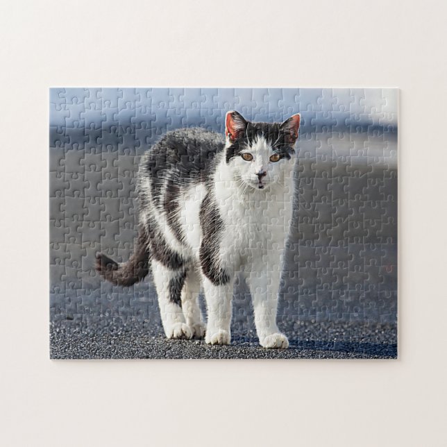 Porträtt i en katt pussel (Horisontell)