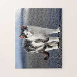 Porträtt i en katt pussel