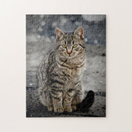 Porträtt i en katt pussel