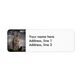 Porträtt i en katt returadress etikett