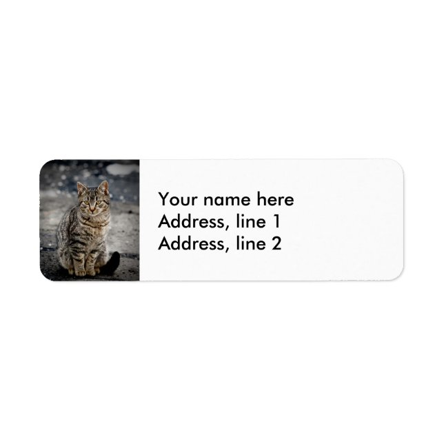 Porträtt i en katt returadress etikett (Framsidan)