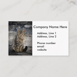 Porträtt i en katt visitkort