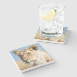 Porträtt i en leoness mot blå himmel-foto stenunderlägg