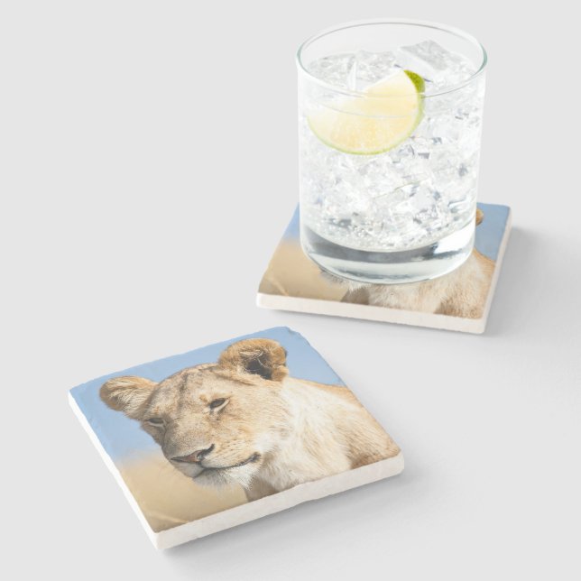 Porträtt i en leoness mot blå himmel-foto stenunderlägg (Sidan)