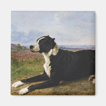 Porträtt i en Mastiff Labrador-Hund (Rosa Bonheur)