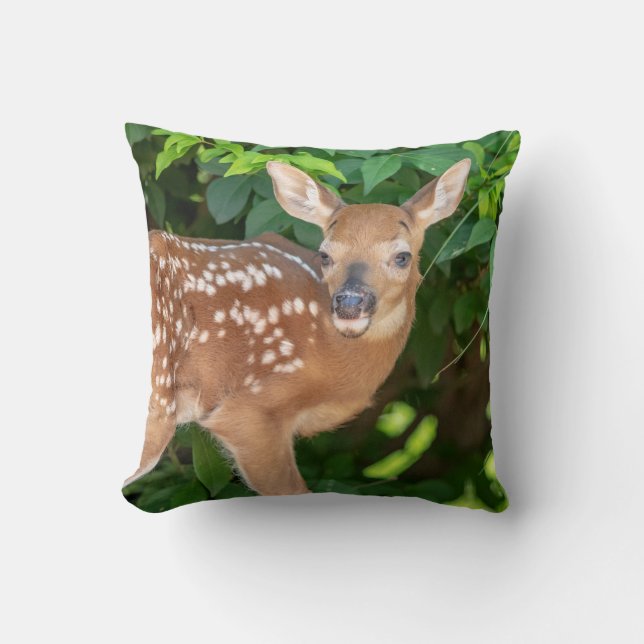 Porträtt i en nyfödd Fawn (vit-bläckfisk hjort) Kudde (Framsida)