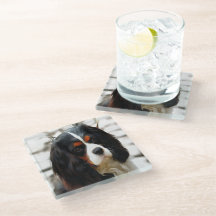 Porträtt i en spanjor i Kung Charles Cavalier