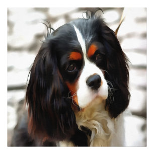 Porträtt i en spanjor i Kung Charles Cavalier Fototryck
