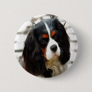 Porträtt i en spanjor i Kung Charles Cavalier Knapp