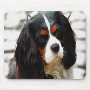 Porträtt i en spanjor i Kung Charles Cavalier Musmatta