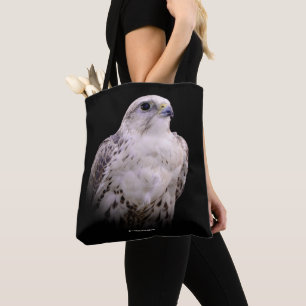 Porträtt i en undersökande Saker Falcon Tygkasse