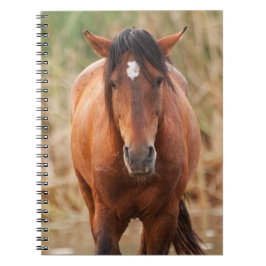 Porträtt i en Vild Mustang Anteckningsbok Med Spiral