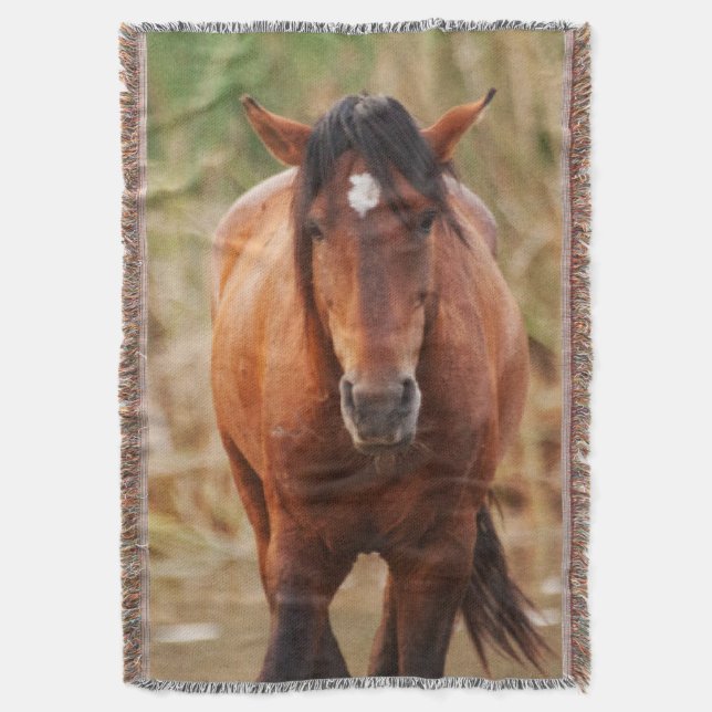 Porträtt i en Vild Mustang Filt (Framsidan Vertikal)