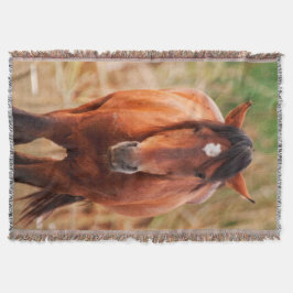 Porträtt i en Vild Mustang Filt