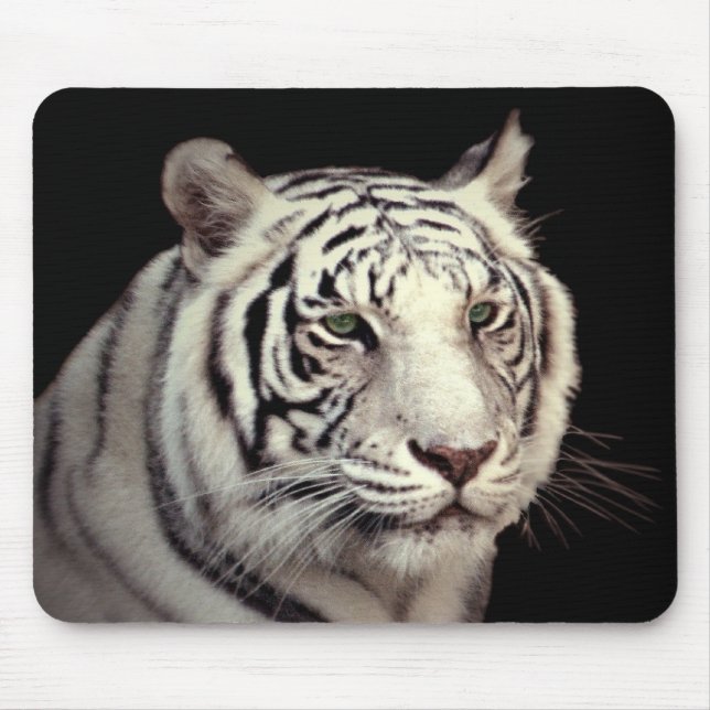 Porträtt i en vit bengaltiger musmatta (Framsidan)