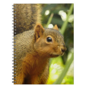 Porträtt i ett ekorrefoto från ett naturdjur anteckningsbok med spiral