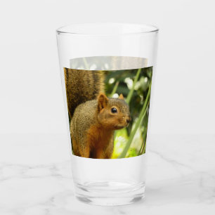 Porträtt i ett ekorrefoto från ett naturdjur glaskopp