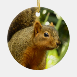Porträtt i ett ekorrefoto från ett naturdjur julgransprydnad keramik