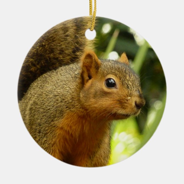 Porträtt i ett ekorrefoto från ett naturdjur julgransprydnad keramik (Framsidan)