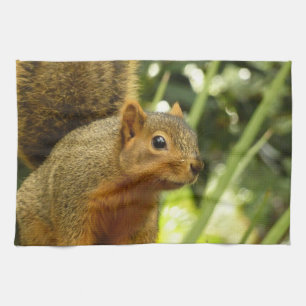 Porträtt i ett ekorrefoto från ett naturdjur kökshandduk