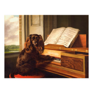 Porträtt i ett ovanligt musikaliskt Hund Fototryck