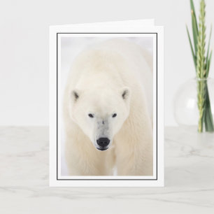 Porträtt i ett Polar Bear Helgkort