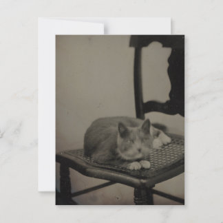 Porträtt i ett vykort för fotografi av Vintage i k