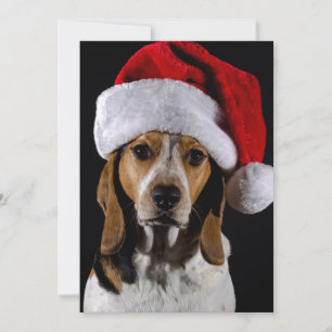 Porträtt i hund har julhatt julkort