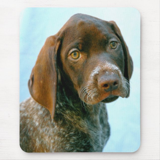 PORTRÄTT i HUND Musmatta (Framsidan)