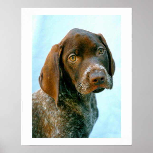 PORTRÄTT i HUND Poster (Framsidan)