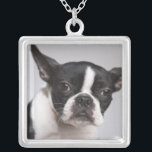 PORTRÄTT i HUND Silverpläterat Halsband<br><div class="desc">Djur->Hund</div>