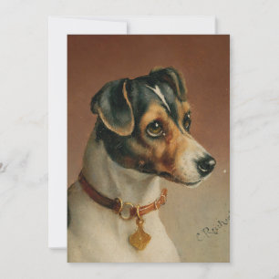 Porträtt i Jack Russel Terrier Carl Reichert