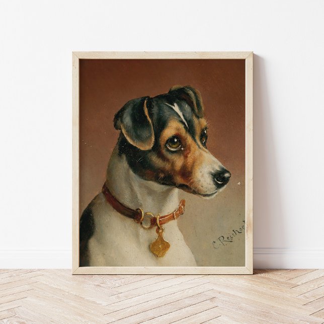 Porträtt i Jack Russel Terrier | Carl Reichert Poster (Skapare uppladdad)