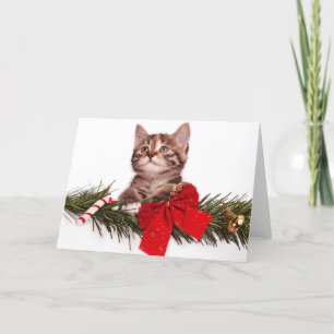 Porträtt i julklapp i gryningen helgkort