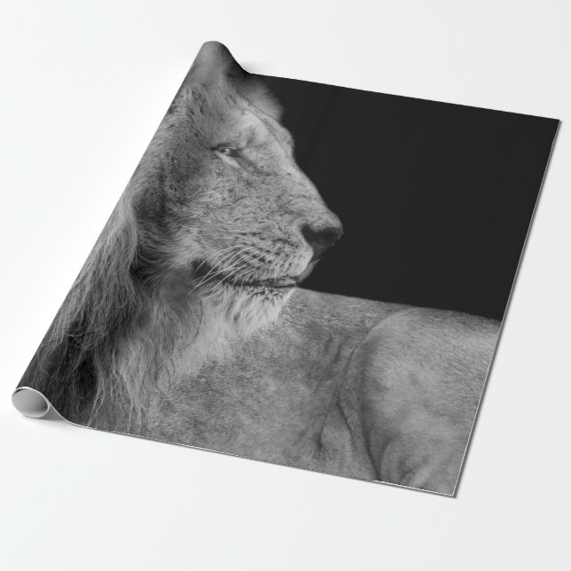 PORTRÄTT i KUNG Presentpapper (Utrullad)