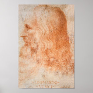 Porträtt i Leonardo da Vinci Poster