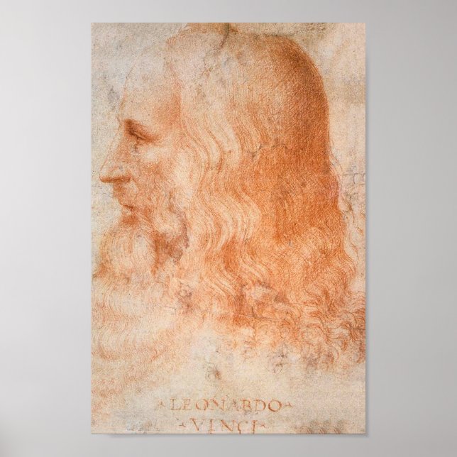 Porträtt i Leonardo da Vinci Poster (Framsidan)