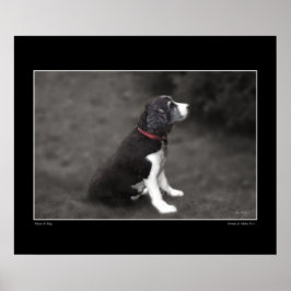 Porträtt i Mabel 3 Poster