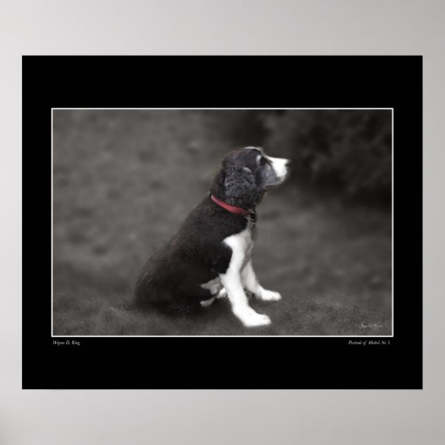 Porträtt i Mabel 3 Poster (Framsidan)