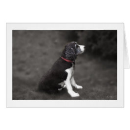 Porträtt i Mabel nr 1 Hälsningskort