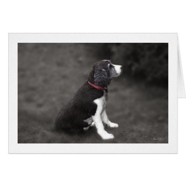 Porträtt i Mabel nr 1 Hälsningskort (Framsidan Horizontal)