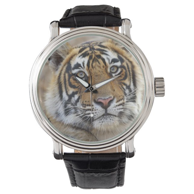 Porträtt i Royalet Bengal Tiger, Ranthambhor Armbandsur (Framsida)