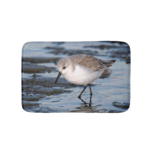 Porträtt i Sanderling Badrumsmatta