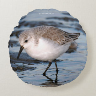 Porträtt i Sanderling Rund Kudde