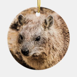 Porträtt i Sten Hyrax Julgransprydnad Keramik