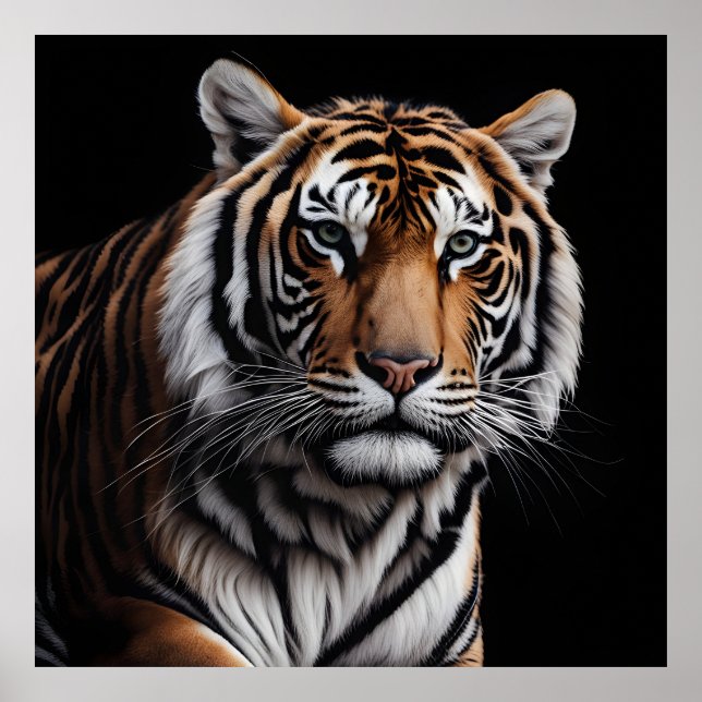 Porträtt i tigern poster (Framsidan)